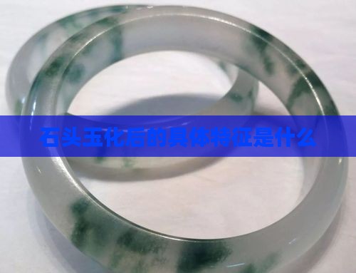 石头玉化后的具体特征是什么
