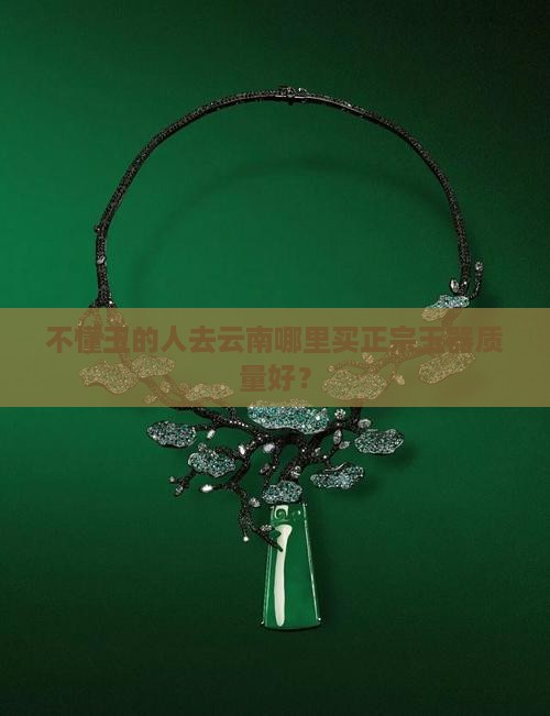 不懂玉的人去云南哪里买正宗玉器质量好？
