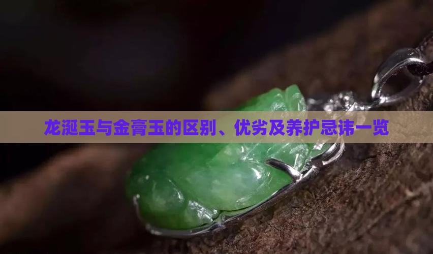 龙涎玉与金膏玉的区别、优劣及养护忌讳一览