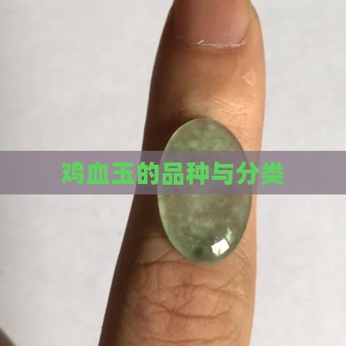 鸡血玉的品种与分类
