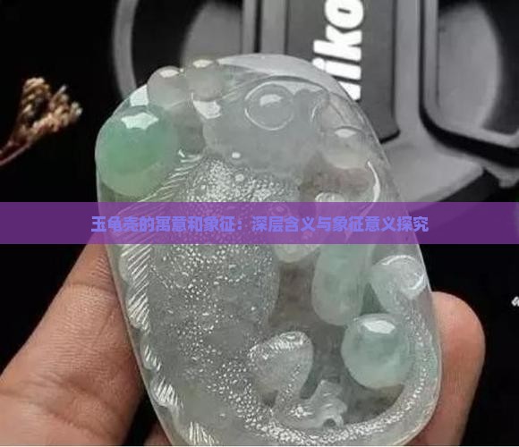 玉龟壳的寓意和象征：深层含义与象征意义探究