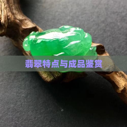 翡翠特点与成品鉴赏