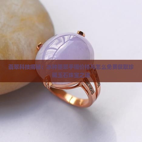 翡翠科技揭秘：冰种墨翠手镯价格与怎么免费获取珍稀玉石珠宝之道