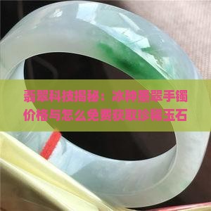 翡翠科技揭秘：冰种墨翠手镯价格与怎么免费获取珍稀玉石珠宝之道
