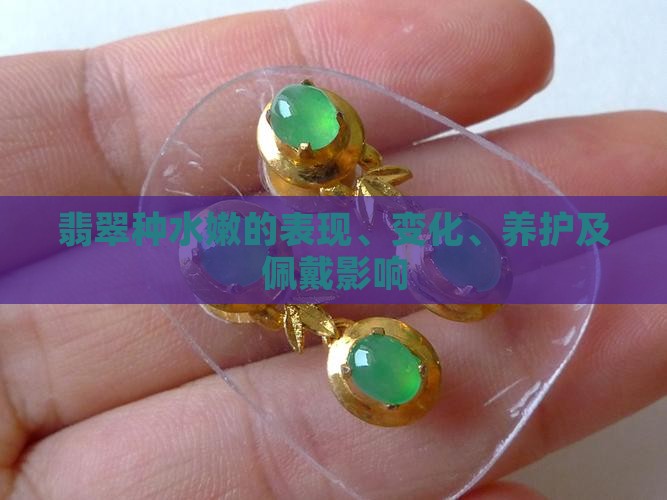 翡翠种水嫩的表现、变化、养护及佩戴影响 翡翠种水嫩的表现、变化、养护及佩戴影响