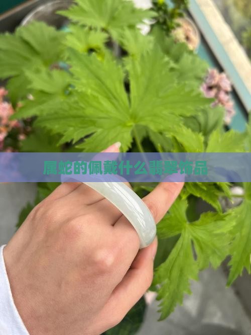 属蛇的佩戴什么翡翠饰品