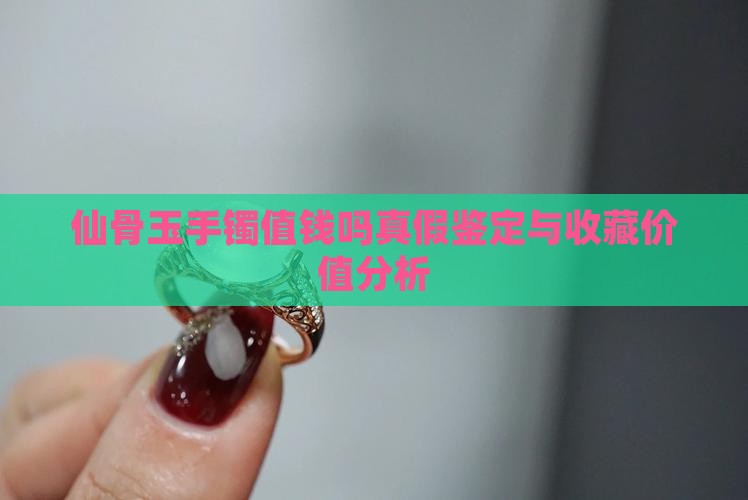 仙骨玉手镯值钱吗真假鉴定与收藏价值分析