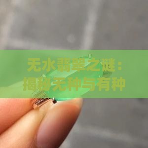 无水翡翠之谜：揭秘无种与有种的奥秘
