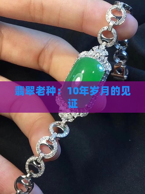 翡翠老种：10年岁月的见证