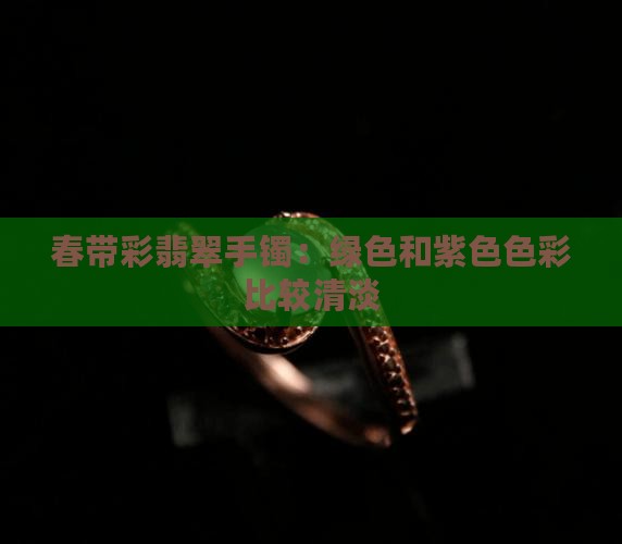 春带彩翡翠手镯：绿色和紫色色彩比较清淡