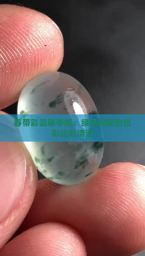 春带彩翡翠手镯：绿色和紫色色彩比较清淡
