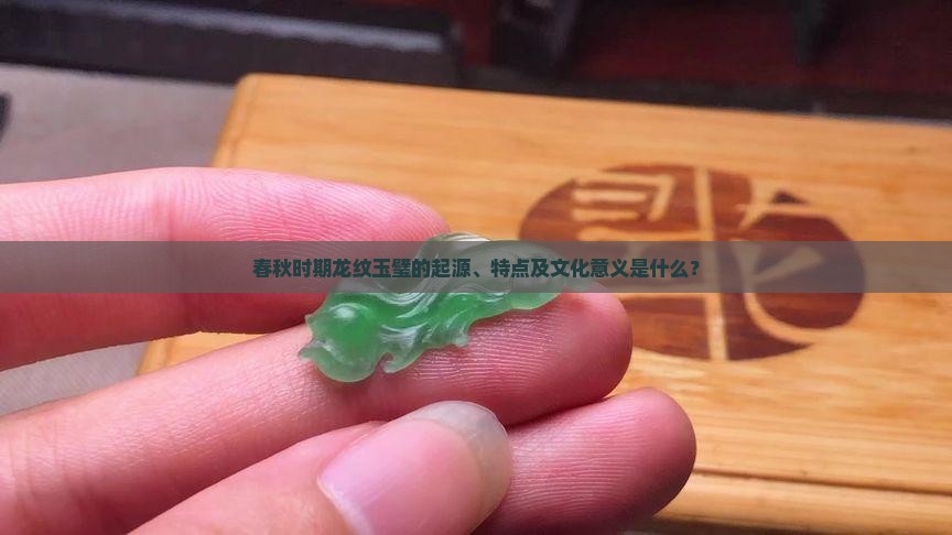 春秋时期龙纹玉璧的起源、特点及文化意义是什么？