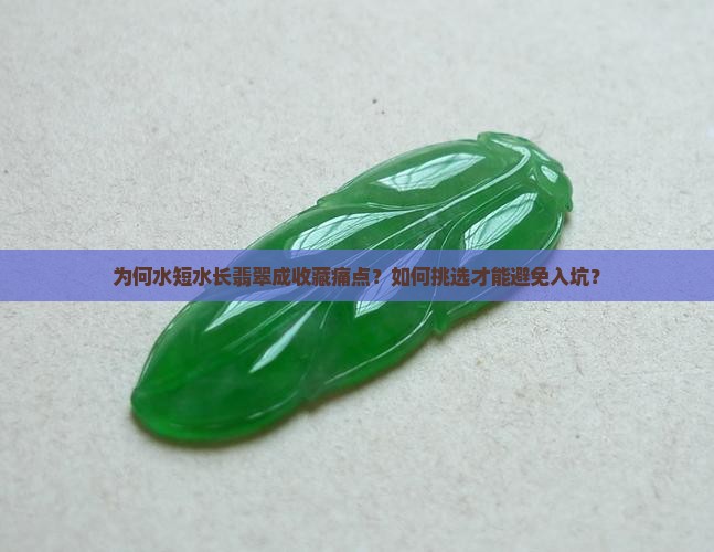 为何水短水长翡翠成收藏痛点？如何挑选才能避免入坑？
