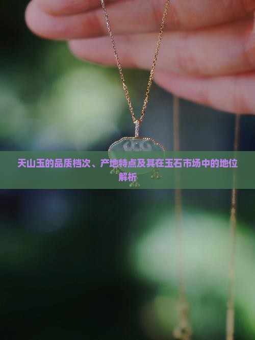 天山玉的品质档次、产地特点及其在玉石市场中的地位解析