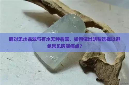 面对无水翡翠与有水无种翡翠，如何做出明智选择以避免常见购买痛点？