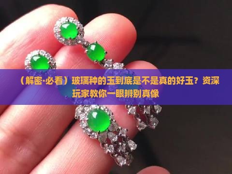 玻璃种的玉是什么玉