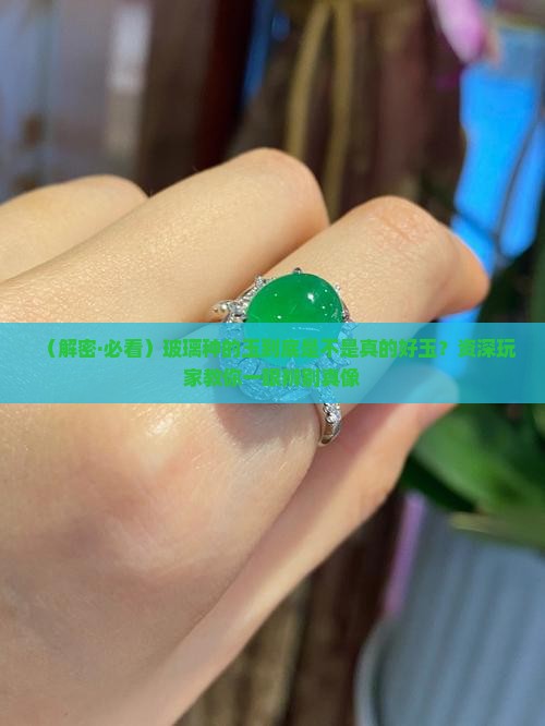 玻璃种的玉是什么玉