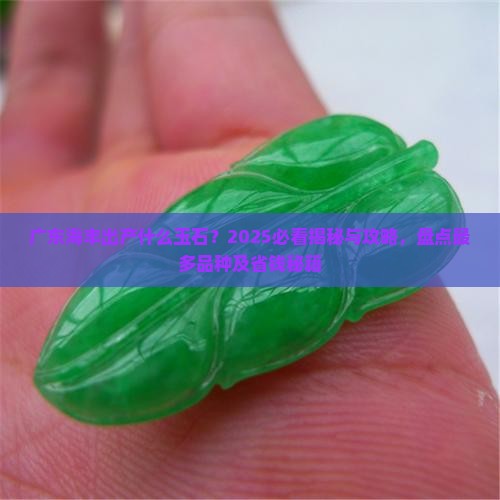 广东海丰出产什么玉石