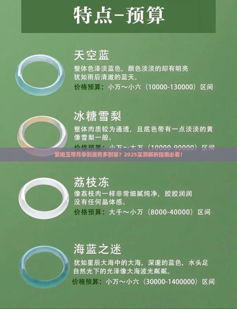 紫袍玉带月季耐寒吗