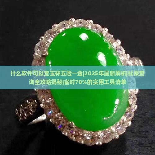什么软件可以查玉林五险一金