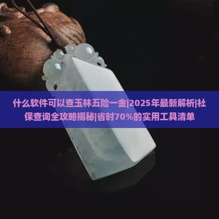 什么软件可以查玉林五险一金