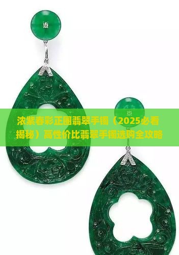 浓紫春彩正圈翡翠手镯