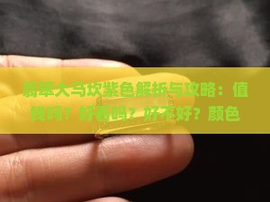 翡翠大马坎紫色