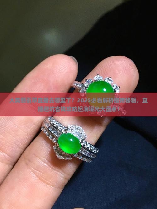 大美丽翡翠直播去哪里了