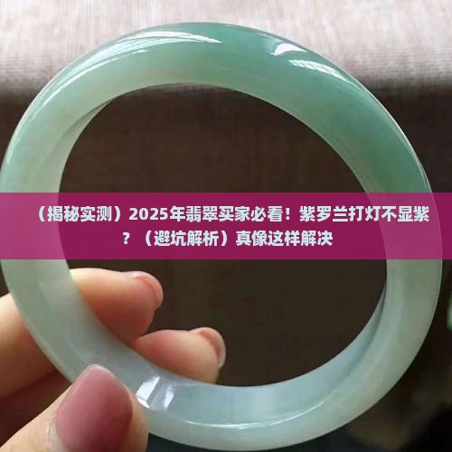 翡翠紫罗兰打灯不见紫