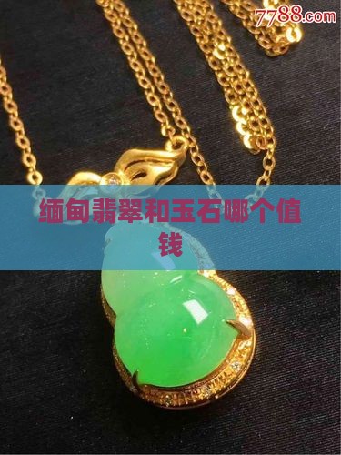 缅甸翡翠和玉石哪个值钱