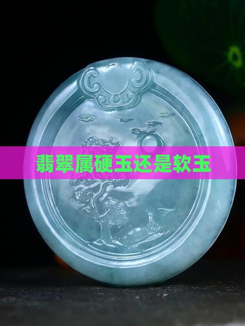 翡翠属硬玉还是软玉
