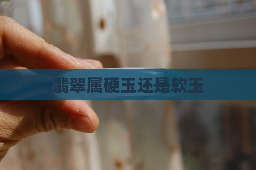 翡翠属硬玉还是软玉