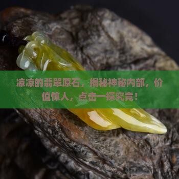 凉凉的翡翠原石
