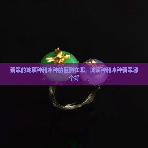 翡翠的玻璃种和冰种的区别在哪