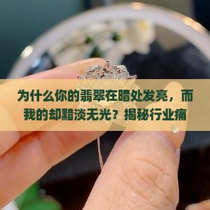 翡翠在暗处发亮
