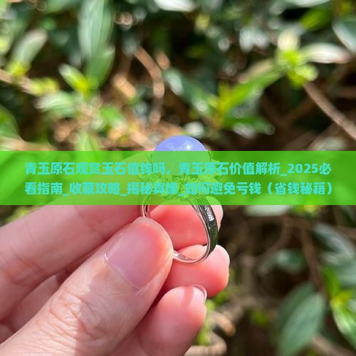 青玉原石观赏玉石值钱吗