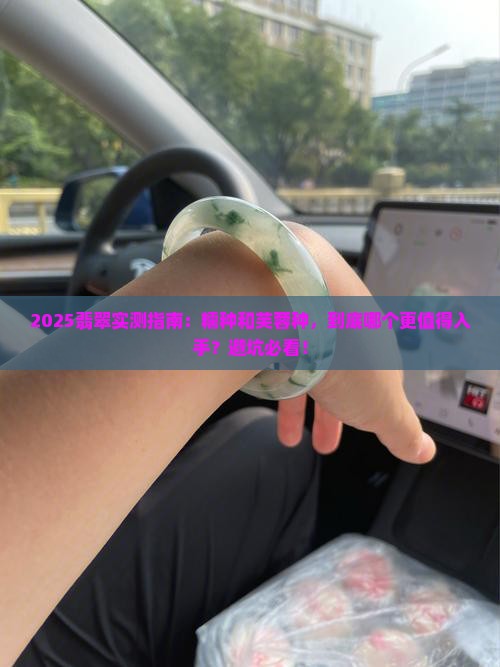 翡翠糯种好还是芙蓉好