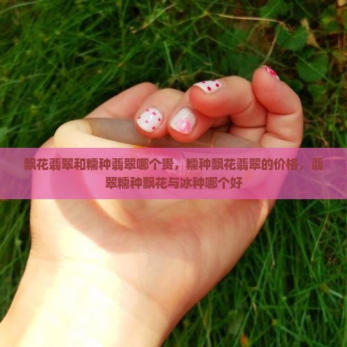 飘花翡翠和糯种翡翠哪个贵