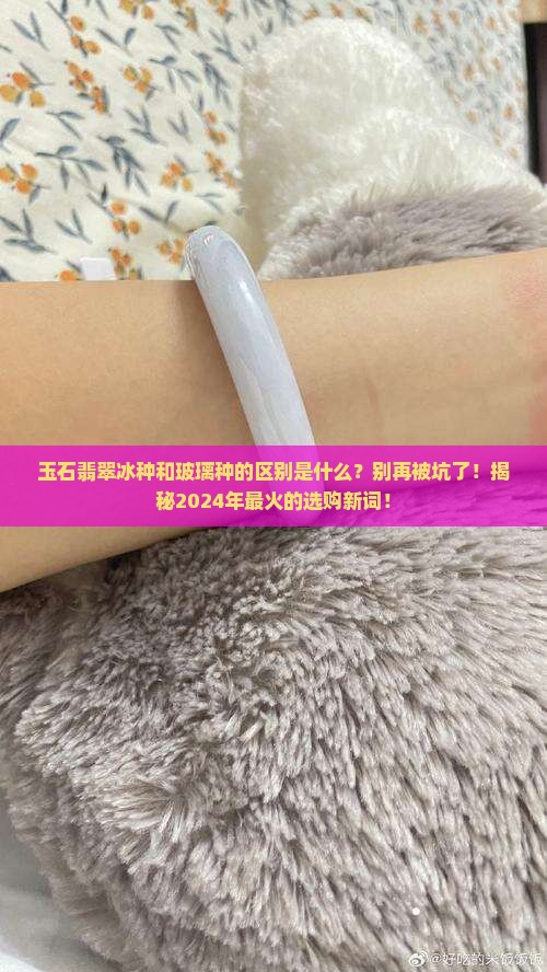 玉石翡翠冰种和玻璃种的区别是什么