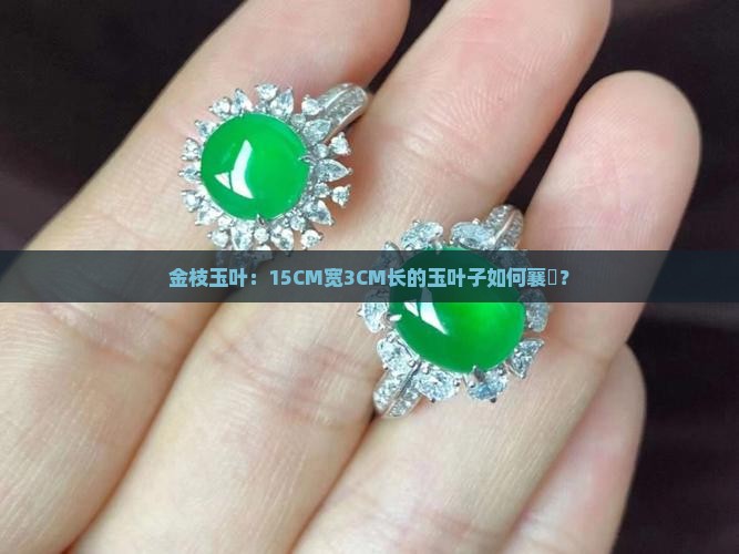 金枝玉叶：15CM宽3CM长的玉叶子如何襄嵚？
