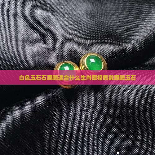 白色玉石石麒麟适合什么生肖属相佩戴麒麟玉石