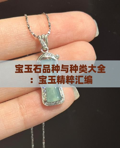 宝玉石品种与种类大全：宝玉精粹汇编