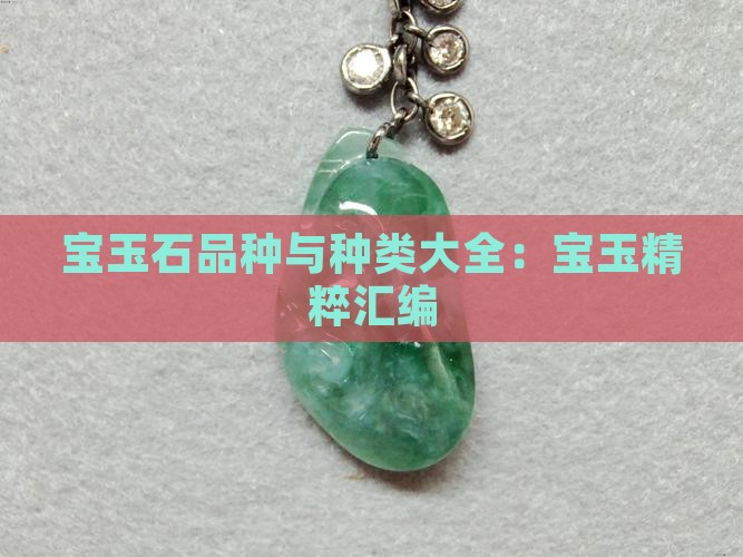 宝玉石品种与种类大全：宝玉精粹汇编