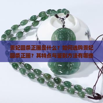 贵妃圆条正圈是什么？如何选购贵妃圆条正圈？其特点与鉴别方法有哪些？