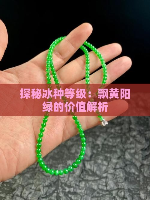 探秘冰种等级：飘黄阳绿的价值解析