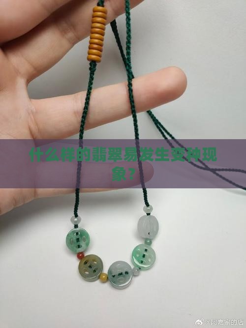 什么样的翡翠易发生变种现象？