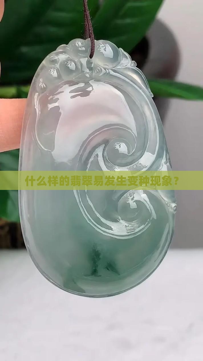 什么样的翡翠易发生变种现象？
