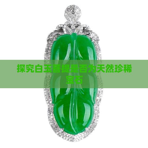 探究白玉菩提是否为天然珍稀宝石