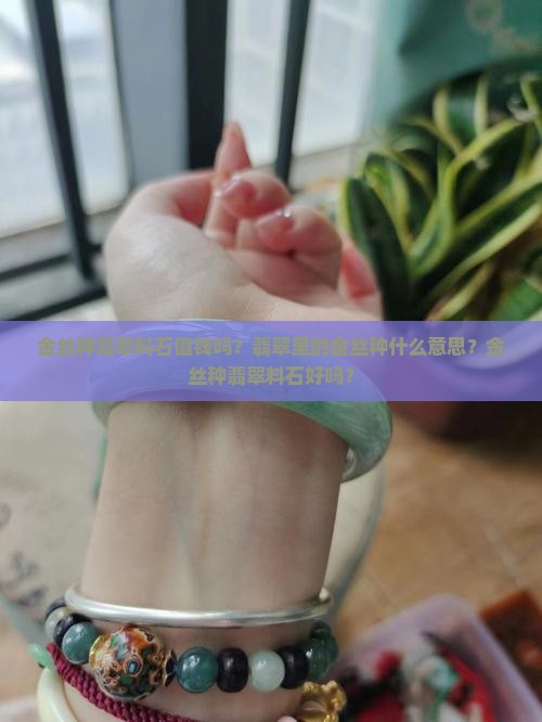 金丝种翡翠料石值钱吗？翡翠里的金丝种什么意思？金丝种翡翠料石好吗？