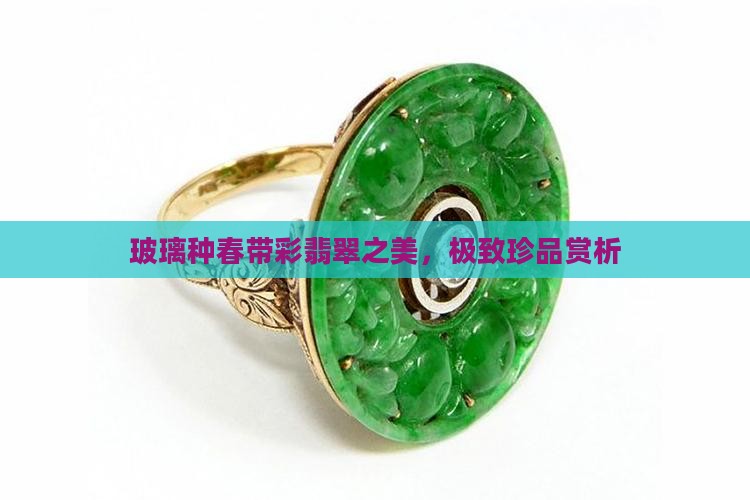 玻璃种春带彩翡翠之美，极致珍品赏析